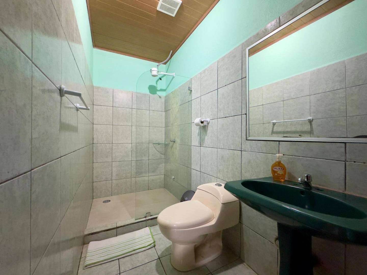 A bathroom with a walk-in shower, a green sink and a toilet
