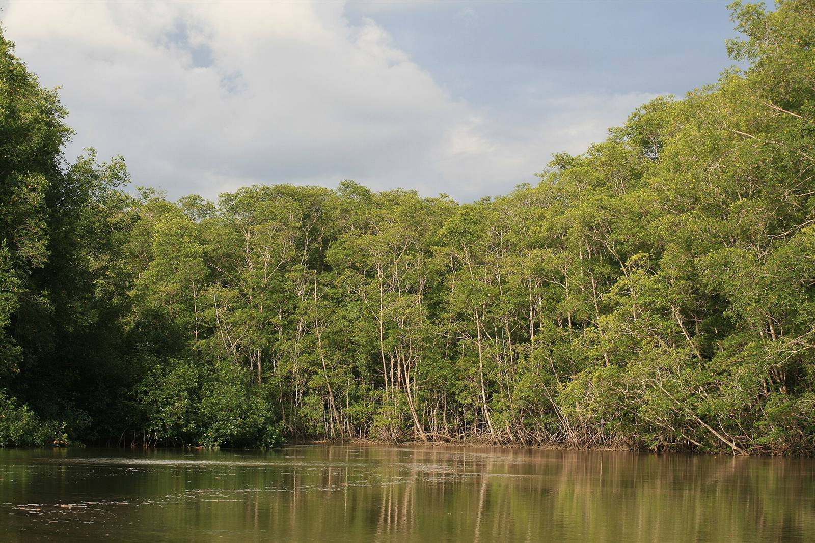 Damas Island mangroves · 3.8 km